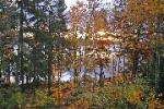 Autumn view from deck towards lake