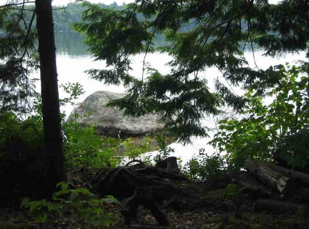 Peaceful at the Shoreline